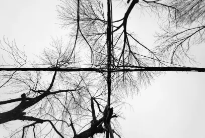 Billion Casino Mobilapp